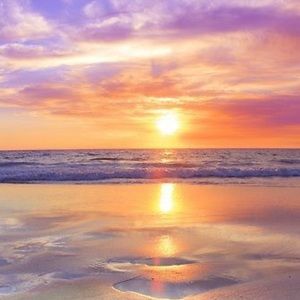 Meet your Posher, Randon